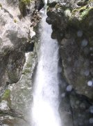 4.30.06 Hamilton Mountain 020 